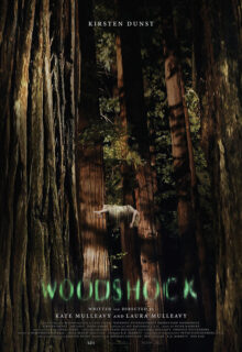 woodshock_poster_-_publicity_-_p_2017
