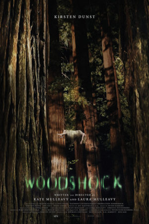 woodshock_poster_-_publicity_-_p_2017