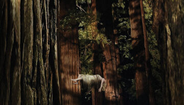 woodshock_poster_-_publicity_-_p_2017