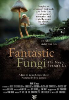 Fantastic Fungi Poster