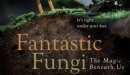 Fantastic Fungi Poster