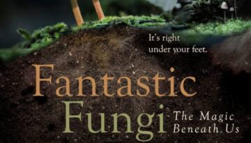 Fantastic Fungi Poster