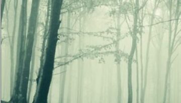 MV5BMzA2NWRhY2QtNmE4Yy00NjRiLTlhNzEtMzM4NzcwNWFiNjcxXkEyXkFqcGdeQXVyMjY0MjU3MQ@@._V1_FMjpg_UX1000_