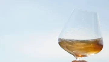 Screenshot 2026-02-12 at 3.02.29 PM